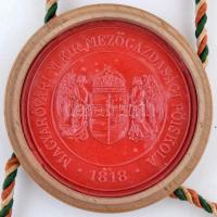 1946 A Magyaróvári Magyar Királyi Mezőgazdasági Főiskola díszes mezőgazdász diplomája Bántay Hilda (...