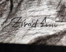 Zórád jelzéssel: Férfi portré. Ceruza, papír, 27×19 cm