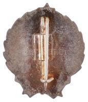 ~1970. "Politikai Irodalom terjesztő - 5 év" ezüst fokozatú zománcozott jelvény igazolvánn...