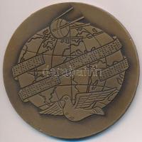 1980. "Magyar Távirati Iroda 100 éves 1880-1980" Br emlékérem (70mm) T:2 ph