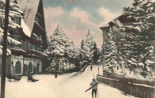 Semmering, Villa Kleinhaus, winter