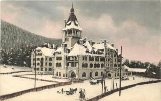 Semmering, Hotel Erzherzog Johann / winter time, skiers, horse sled (EK)