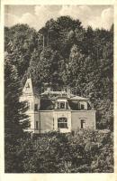 Rathen, Haus Wölfel / villa (cut)