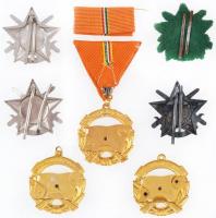 ~1960-1970. "A Haza Szolgálatáért" arany fokozata, aranyozott zománcozott fém kitüntetés m...