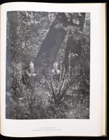 Vajda Ernő: A magyar növényvilág képeskönyve. Bp., 1956, Művelt Nép. Nagyméretű album fotókkal, kiad...