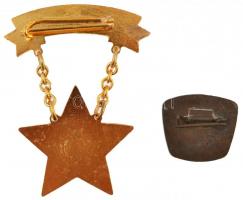 ~1970-1980. "Kiváló Társadalmi Munkáért" zománcozott postás kitüntetés + "Magyar Post...