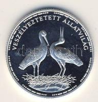 1992. 200Ft Ag "Veszélyeztetett állatvilág-gólya" T:BU