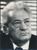 Balla Demeter(1931-): Darvas József(1912-1973) író, pecséttel jelzett fotó, feliratozva, 23,5x17,5 cm
