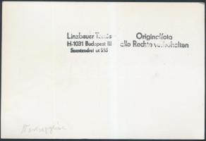 cca 1950-1970 A veresegyházi vasútállomás, Linzbauer Tamás fotója, hátulján feliratozva, pecséttel j...