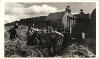 Csíkzsögöd, Jigodin; cséplés, Andory Aladics Zoltán felvétele / crop harvesting, threshing (EK)