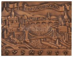 Madarassy Walter (1909-1994) 1973. &quot;Budapest 1873-1973&quot; Br emlékplakett eredeti tokban (101x78mm) T:1-