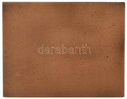 Madarassy Walter (1909-1994) 1973. "Budapest 1873-1973" Br emlékplakett eredeti tokban (10...