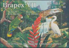 Nemzetközi bélyegkiállítás, BRAPEX Sao Paulo blokk, International Stamp Exhibition, BRAPEX Sao Paulo block