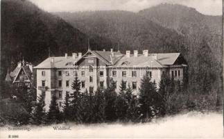 Semmering, Waldhof / hotel