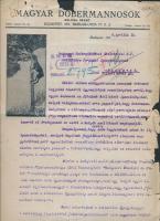 1926 a Magyar Dobermannosok egyesület titkárságának érdekes levele a BSzKRT Forgalmi Igazgatóságának a kutyák villamoson való szállítása ügyében