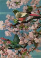 9 db modern térhatású motívum képeslap, nagyrészt állatos lapok, 1 db erotikus képeslappal / 9 moder...