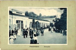 Frantiskovy Lazne, Franzensbad; Salzquelle / fountain (EK)