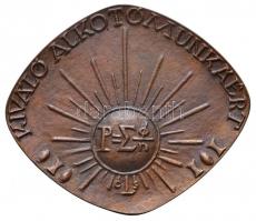 Csontos László (1925-2013) DN "Petzvál József" Br emlékplakett eredeti tokban (82x71mm) T:...