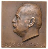 Vágó Dezső (1882-1945) DN &quot;Bókay Árpád&quot; Br plakett (65x63mm) T:2 HP 6354.