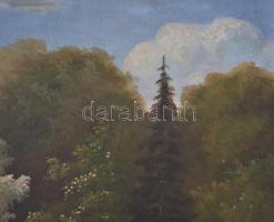 Neogrády jelzéssel: Parkrészlet. Olaj, vászon, jelzett, antik keretben, 50×70 cm