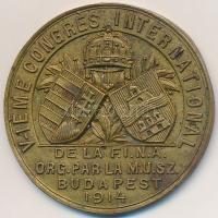 1914. &quot;FINA Nemzetközi Kongresszus&quot; Br emlékérem &quot;JEROUSCHEK BPEST SEMMELWEIS U. 7.&quot; (33mm) T:2 1914. &quot;FINA International Congress&quot; Br medal with makers mark &quot;JEROUSCHEK BPEST SEMMELWEIS U. 7.&quot; (33mm) C:XF