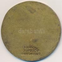 1914. "FINA Nemzetközi Kongresszus" Br emlékérem "JEROUSCHEK BPEST SEMMELWEIS U. 7.&q...