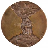 Csíkszentmihályi Róbert (1940-) 1973. "Eötvös Loránd-díj" kétoldalas Br érem (66,5mm) T:1-...