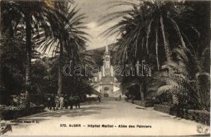 Algiers, Alger; Hopital Maillot - Allée des Palmiers / Maillot hospital - Palm tree promenade (EK)