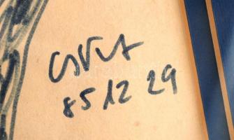 Cs. Németh Miklós (1934-2012): Női akt, filc, papír, paszpartuban, üvegezett fa keretben, 29×20 cm