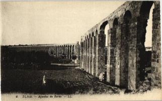 Tunis, Aqueduc du Bardo / Aquaduct of Bardo, from postcard booklet (cut)