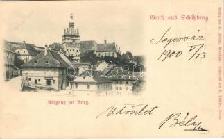 Segesvár, Schässburg, Sighisoara; feljárat a várhoz, Taschler P. üzlete / entry to the castle, shop (vágott / cut)