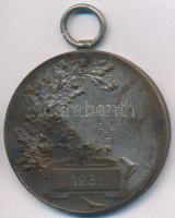 1931. "Phőbus Sport Egyesület" fém díjérem "HAWEL Bp." gyártói jelzéssel (38mm) ...