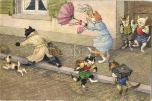 Vidám macskák - 3 db Max Künzli képeslap / 3 Max Künzli postcards with fun cats