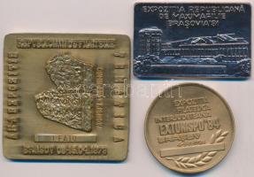 Románia 1978-1984. Bélyegkiállítás Brassó 3db klf emlékérem és plakett T:2 Romania 1978-1984. Philatelic exhibition Brasov 3xdiff medallion and plaques C:XF