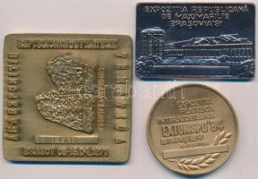 Románia 1978-1984. &quot;Bélyegkiállítás Brassó&quot; 3db klf emlékérem és plakett T:2 Romania 1978-1984. &quot;Philatelic exhibition Brasov&quot; 3xdiff medallion and plaques C:XF