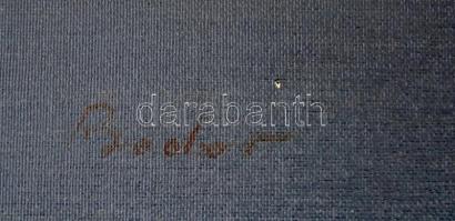 Bodor Miklós (1925-2010): Ló fej. Olaj, vászon, jelzett, keretben, 60×50 cm