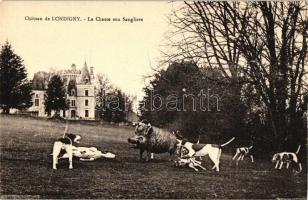 Chateau de Londigny, La Chasse aux Sangliers / Hunting dogs, wild boars hunting