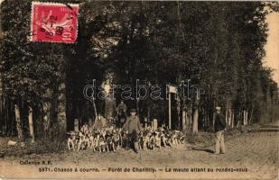 Chasse a courre, Foret de Chantilly, La meure allant au rendez-vous / Hunting dogs, hunters