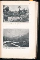 1936 az Árverési Közlöny 17. évf. 2. rendkívüli száma (tiszteletpéldánya) benne az aukció részletei,...