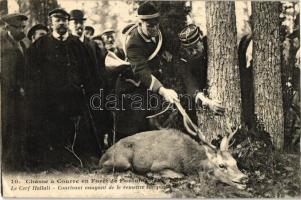 Chasse a Courre en Foret de Fontainebleau, Le Cerf Hallali / hunters, hunted deer (EK)