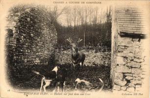 Vadászkutyák sarokba szorított szarvassal, Equipage Olry, Hallali sur pied dans une Cour / hunting dogs, deer