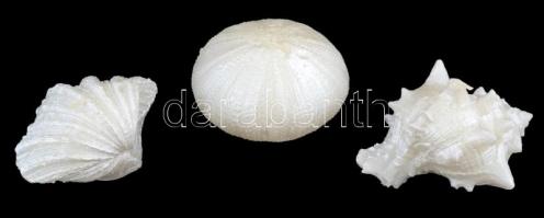 Főként állatfigurákat formázó gyertyaszett, 8 db gyertyával + kagylókat formázó dekoratív gyertyasze...