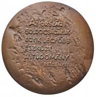 DN "Bessenyei György Tanárképző Főiskola Nyíregyháza" kétoldalas Br plakett dísztokban. Sz...