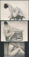 cca 1960 Erotikus fotók, vegyes méretben és minőségben, 6db, 6x5cm és 14x9cm