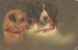 16 db VEGYES motívum képeslap, állat motívum, vegyes minőség / 16 mixed motive postcards, animal mot...