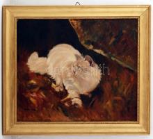 Trághy jelzéssel: Angora macska. Olaj, vászon, keretben, 38×47 cm