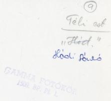 cca 1965 Hódi László: Téli este, feliratozott vintage fotóművészeti alkotás, 16x23 cm