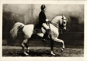 Vienna, Wien; Spanish horse riding school, trot