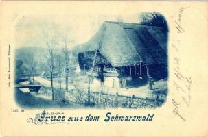 1899 Triberg, Schwarzwald, homestead