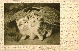 1899 Cats with basket, A. Ackermann Kunstverlag - Künstlerpostkarte No. 456, s: A. Dreher